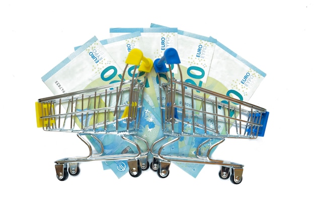 Banconote in euro per un supermercato carrelli su sfondo bianco isolato Concetto di shopping online