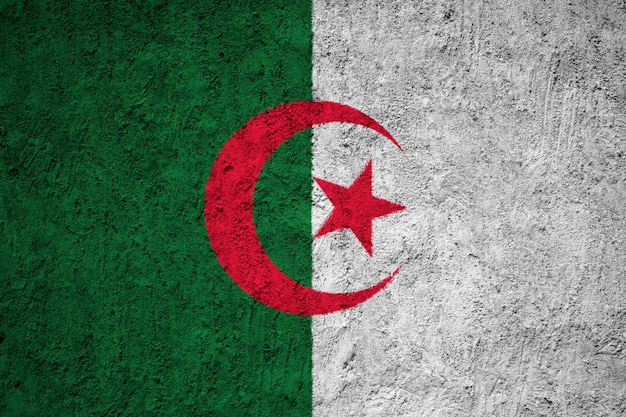 Bandiera Algeria dipinta sul muro del grunge