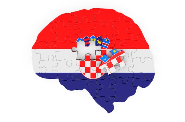 Bandiera croata dipinta sul cervello da puzzle rendering 3D isolato su sfondo bianco