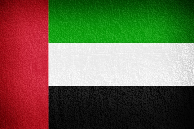 Bandiera degli Emirati Arabi Uniti dipinta sulla parete del grunge