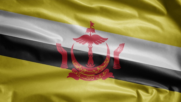 Bandiera del Brunei che ondeggia nel vento