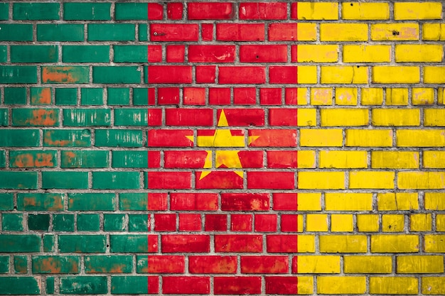Bandiera del Camerun su uno sfondo di mattoni grunge