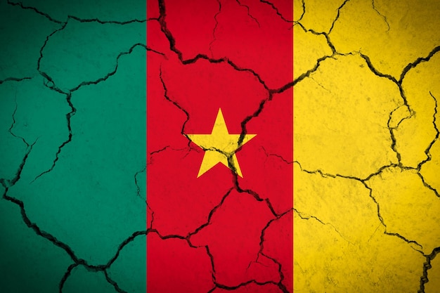 Bandiera del paese incrinata del Camerun