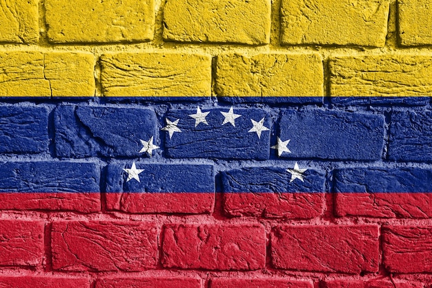 Bandiera del Venezuela sul muro