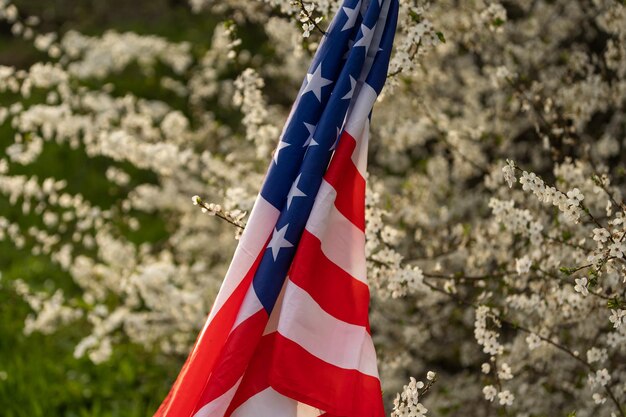 Bandiera dell'America sullo sfondo di un albero in fiore. Politica, imparare una lingua straniera. 4 luglio. Giornata della Memoria