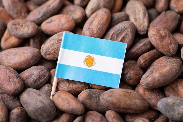 Bandiera dell'Argentina sui semi di cacao Cacao crescente nel concetto di Argentina