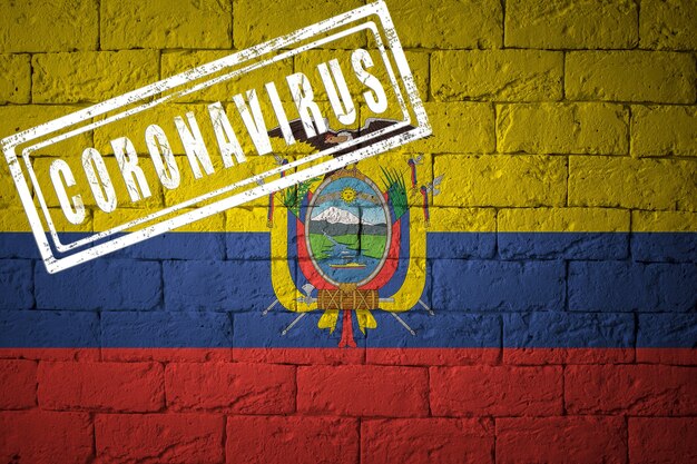 Bandiera dell'Ecuador sulla struttura del muro di mattoni. timbrato di Coronavirus. Concetto di virus corona. Sull'orlo di una pandemia di COVID-19 o 2019-nCoV. Nuovo focolaio cinese di coronavirus