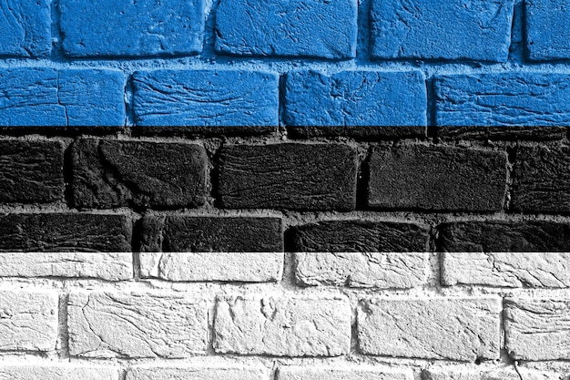 Bandiera dell'Estonia sul muro