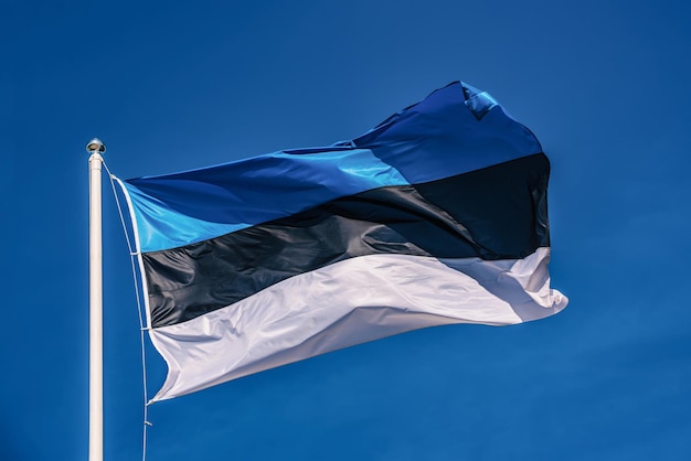 Bandiera dell&#39;Estonia