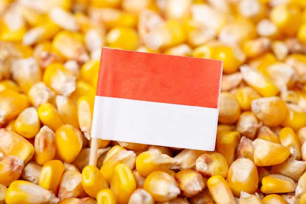 Bandiera dell'Indonesia sul grano di mais raccolto