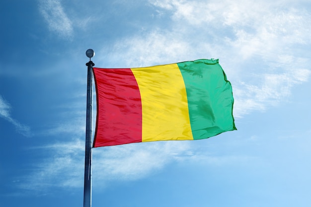 Bandiera della Guinea sull&#39;albero