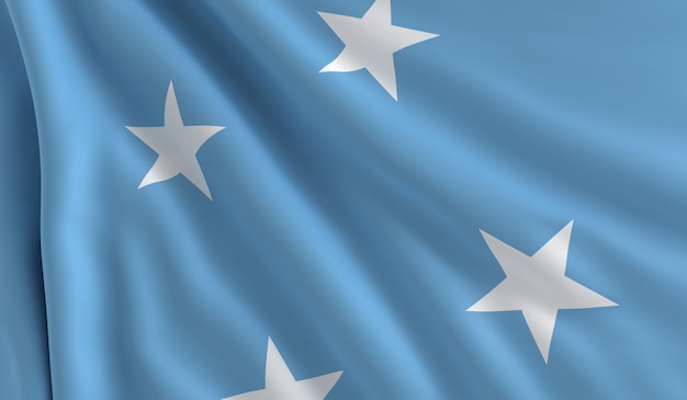 Bandiera della Micronesia