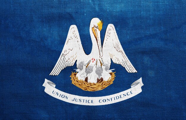 Bandiera dello stato della Louisiana degli Stati Uniti su uno sfondo texturato Concept collage