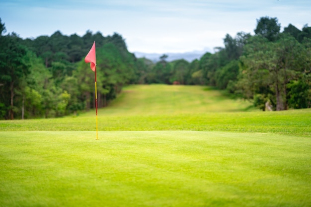 bandiera in buca sul bellissimo campo da golf