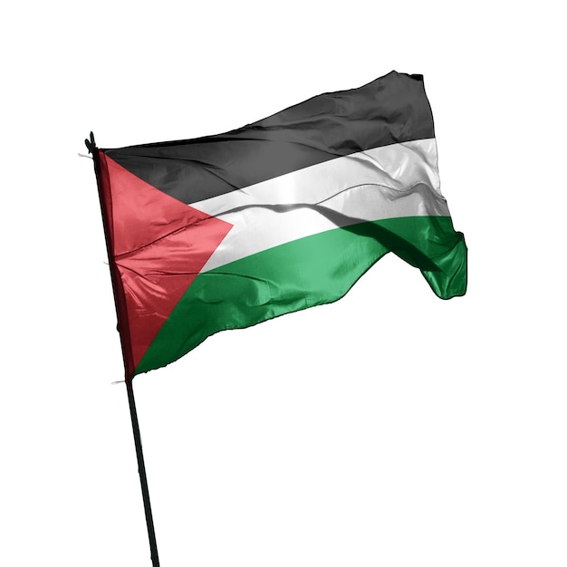 Bandiera isolata della Palestina su sfondo bianco