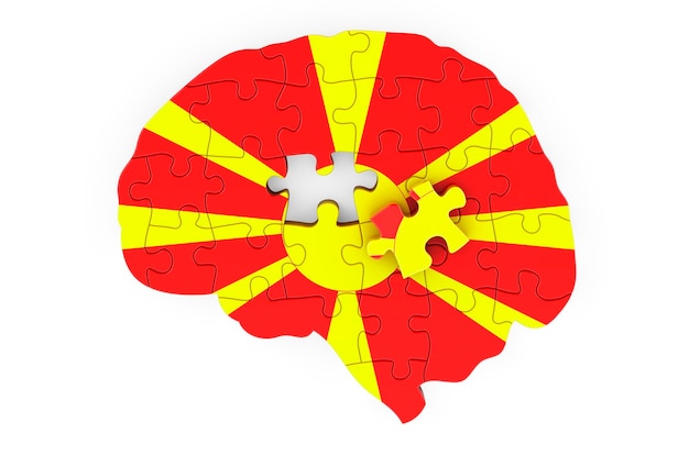 Bandiera macedone dipinta sul cervello da puzzle Ricerca scientifica e istruzione in Macedonia concetto rendering 3D isolato su sfondo bianco