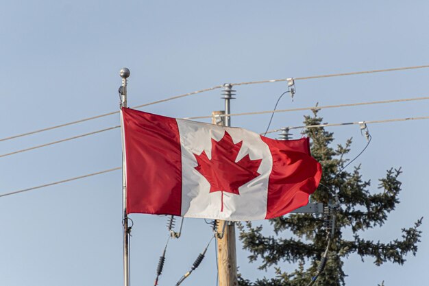 Bandiera nazionale canadese che sventola nel centro di Clagary