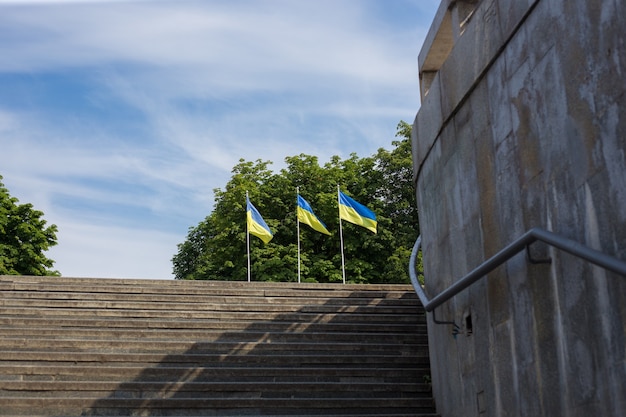 Bandiera nazionale dell'Ucraina indipendente che fluttua nel vento