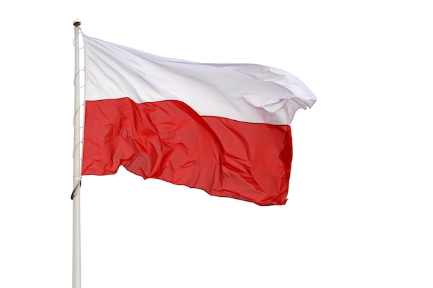 Bandiera nazionale della Polonia che sventola su uno sfondo bianco