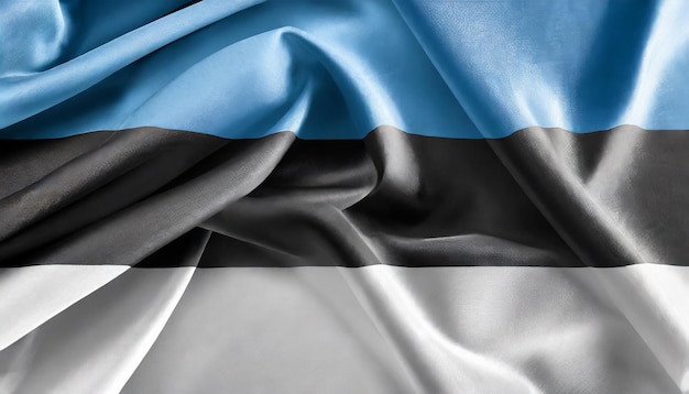 Bandiera nazionale di tessuto di seta estone Simbolo dell'Estonia Bandiera per la celebrazione del Giorno dell'Indipendenza
