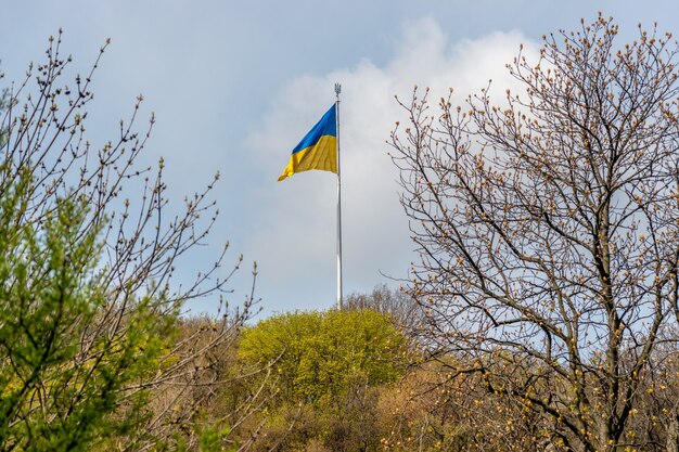 Bandiera ucraina che sventola nel vento contro il cielo.