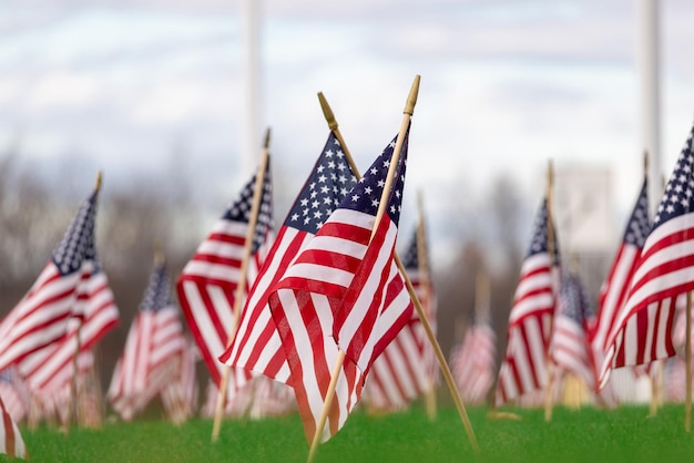 Bandiere americane in terra che celebrano o onorano i veterani che hanno prestato servizio nelle forze armate un simbolo di patirotismo e amore per il paese