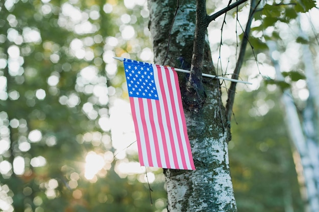 Bandiere degli Stati Uniti appese su un albero Piccole bandiere degli Stati Uniti che sventolano nel vento