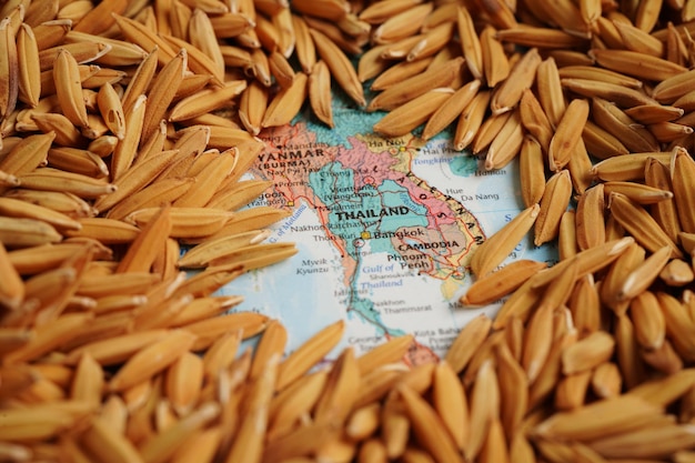 Bangkok 12 marzo 2023 Mappa della Thailandia con grano di riso da fattoria agricola Legge e giustizia