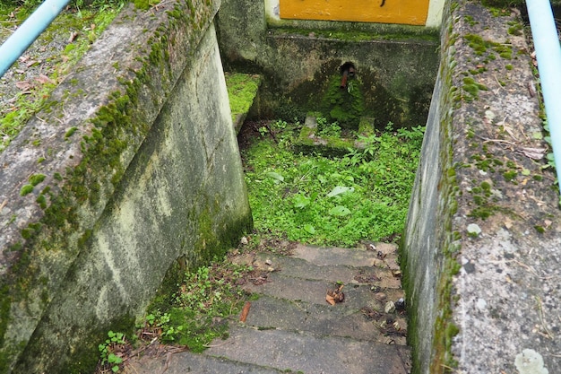 Banja Koviljaca Loznica Serbia Parco e foresta del Monte Guchevo Fonte di acqua minerale solforica e ferruginosa Rakina Chesma Cesma Una sorgente vicino alla strada per Guchevo Recinzione in cemento e scale