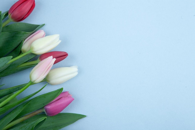 Banner con bouquet di tulipani in rosa per la festa della donna