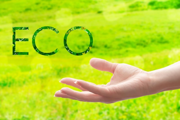 Banner del mercato ecologico Campo agricolo verde con verdure biologiche a mano con iscrizione