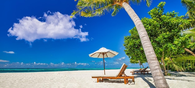 Banner di bella spiaggia tropicale. Le palme da cocco di sabbia bianca viaggiano sul panorama ampio del turismo. Mare d'estate