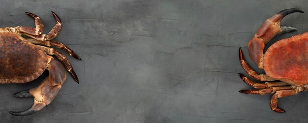 Banner di metà di granchio crudo grosso e metà di granchio rosso e bolead su superficie di cemento grigio.