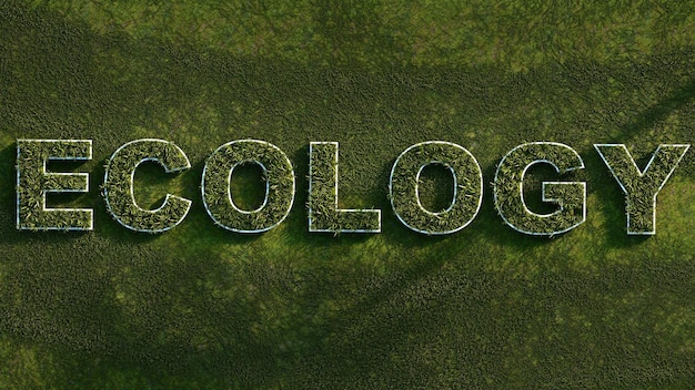 Banner ecologia su sfondo erba 3D rendering
