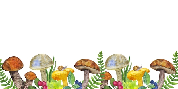 Banner funghi botanici commestibili foglie e bacche felce lumache erba mirtillo cenere di montagna disegno a mano illustrazione ad acquerello isolata su sfondo bianco Elemento di progettazione