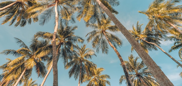 Banner panoramico di bella vacanza e avventura di viaggio nella natura. Idilliaca vista mediterranea tropicale