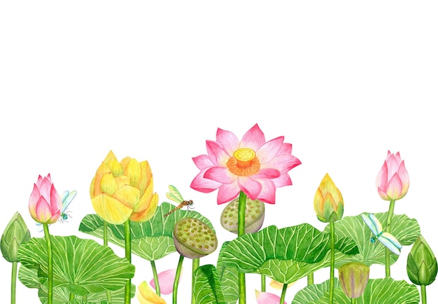 Banner rosa boccioli gialli fiori di loto foglie verdi libellule acquerello illustrazione isolato