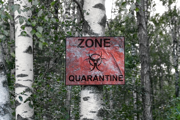 Banner su un albero con la scritta Quarantine Zone.