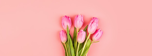 Banner Web con tulipani rosa