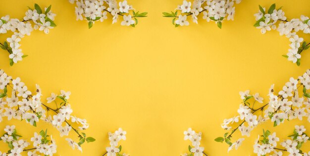 Banner.White rami di albero in fiore su sfondo giallo. Copia spazio. Sfondo di primavera.