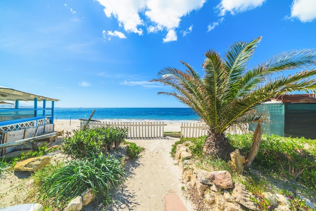 Bar sulla spiaggia con palme in riva al mare