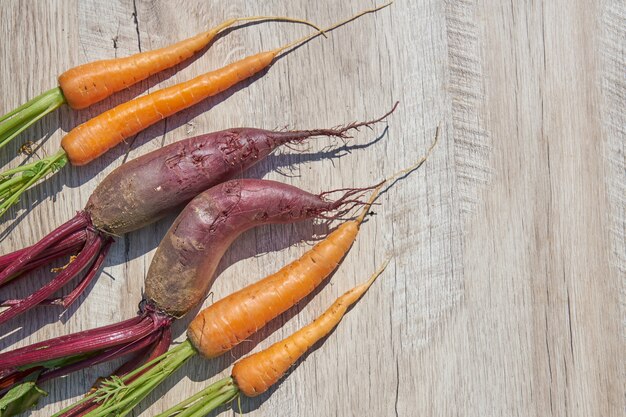 Barbabietola e carota organiche nostrane appena raccolte sulla tavola di legno. vista dall'alto, copia spazio.