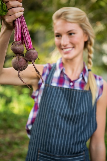 Barbabietole felici della tenuta del giardiniere al giardino