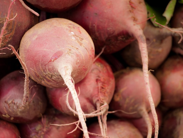 Barbabietole rosse per la vendita al mercato di un contadino.