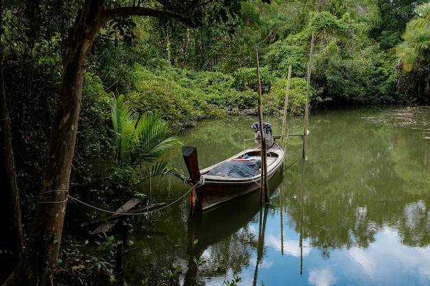 Barca a coda lunga in legno nella provincia di Krabi Thailandia