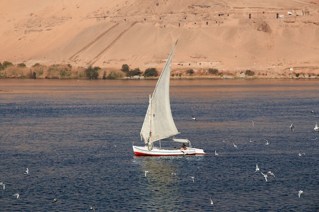 Barca a vela sul fiume Nilo