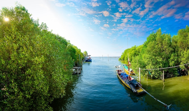 Barca da pesca ancorata tra la foresta di mangrovie