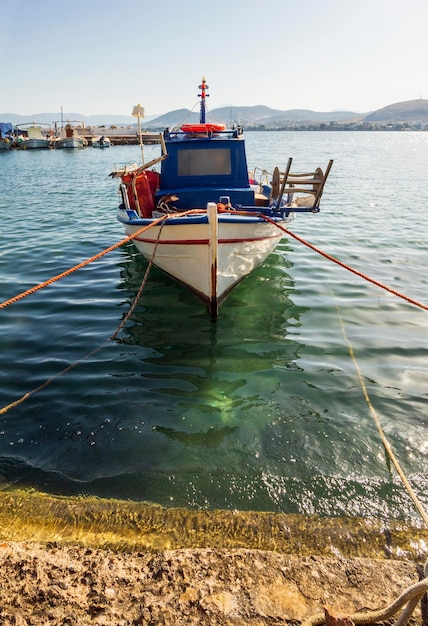 Barca da pesca in un pomeriggio soleggiato sul tranquillo Mar Egeo sull'isola di Evia Grecia