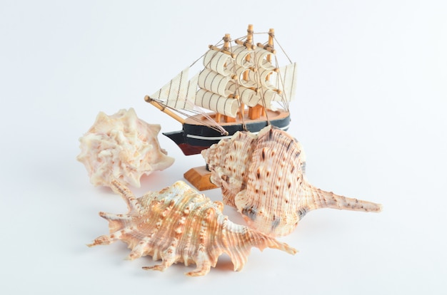 Barca e conchiglie decorative in legno. Concetto marino