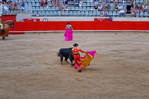 Barcellona, Spagna - 1° agosto 2010: Il torero fa arrabbiare il toro per rivelare il suo carattere durante un intrattenimento spagnolo - corrida (corrida).